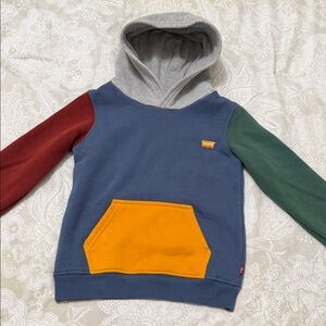 Levi's Multicolor Kids Hoodie with Pocket